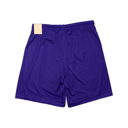 NIKE DRIFIT T-SHIRT & SHORTS - PURPLE