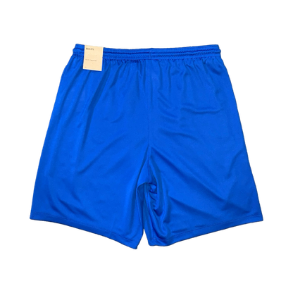 NIKE DRIFIT SHORTS - ROYAL BLUE